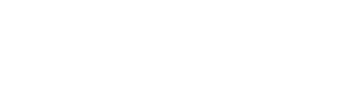 The Insurance Gurus logo